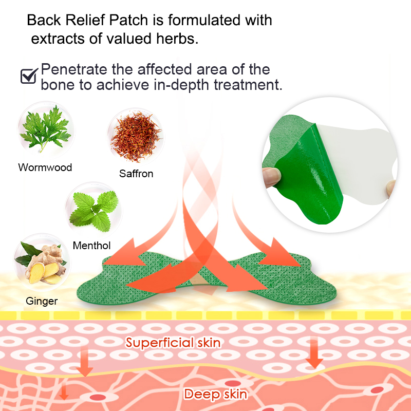 60/6 PCS Lumbar Pain Patch Wor - đánh giá và giá Herbal Wellness Patches
